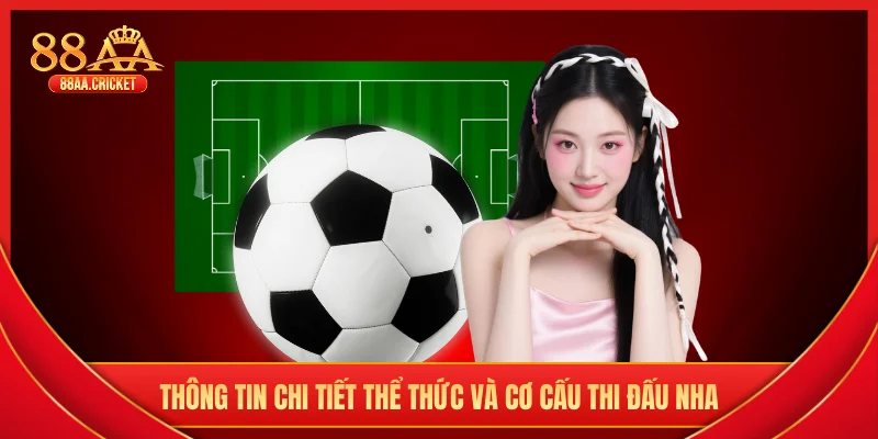 Thông tin chi tiết thể thức và cơ cấu thi đấu